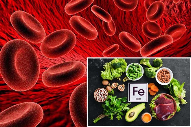 ¿Cuánto hierro necesitas cada día para prevenir la anemia?