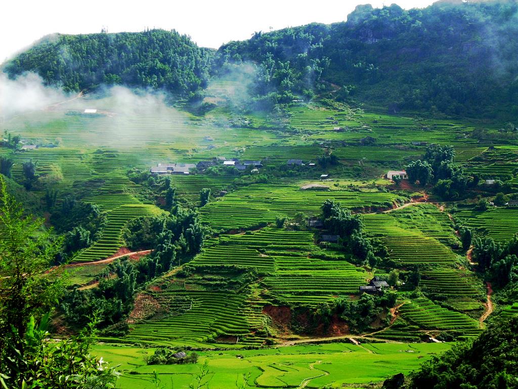 5 điểm đến lý tưởng cho xu hướng 'du lịch ngủ' tại Việt Nam- Ảnh 6.