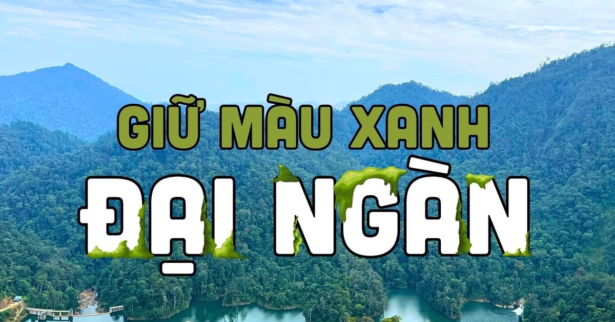 Giữ màu xanh đại ngàn