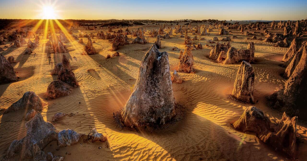 Los desiertos más famosos del mundo: tierras salvajes y desafiantes