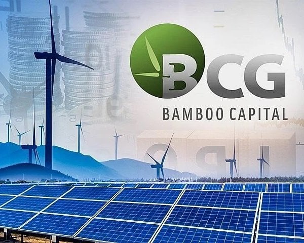 Bamboo Cap liên tục tăng vốn nóng đầu tư lĩnh vực hot lợi nhuận ra sao