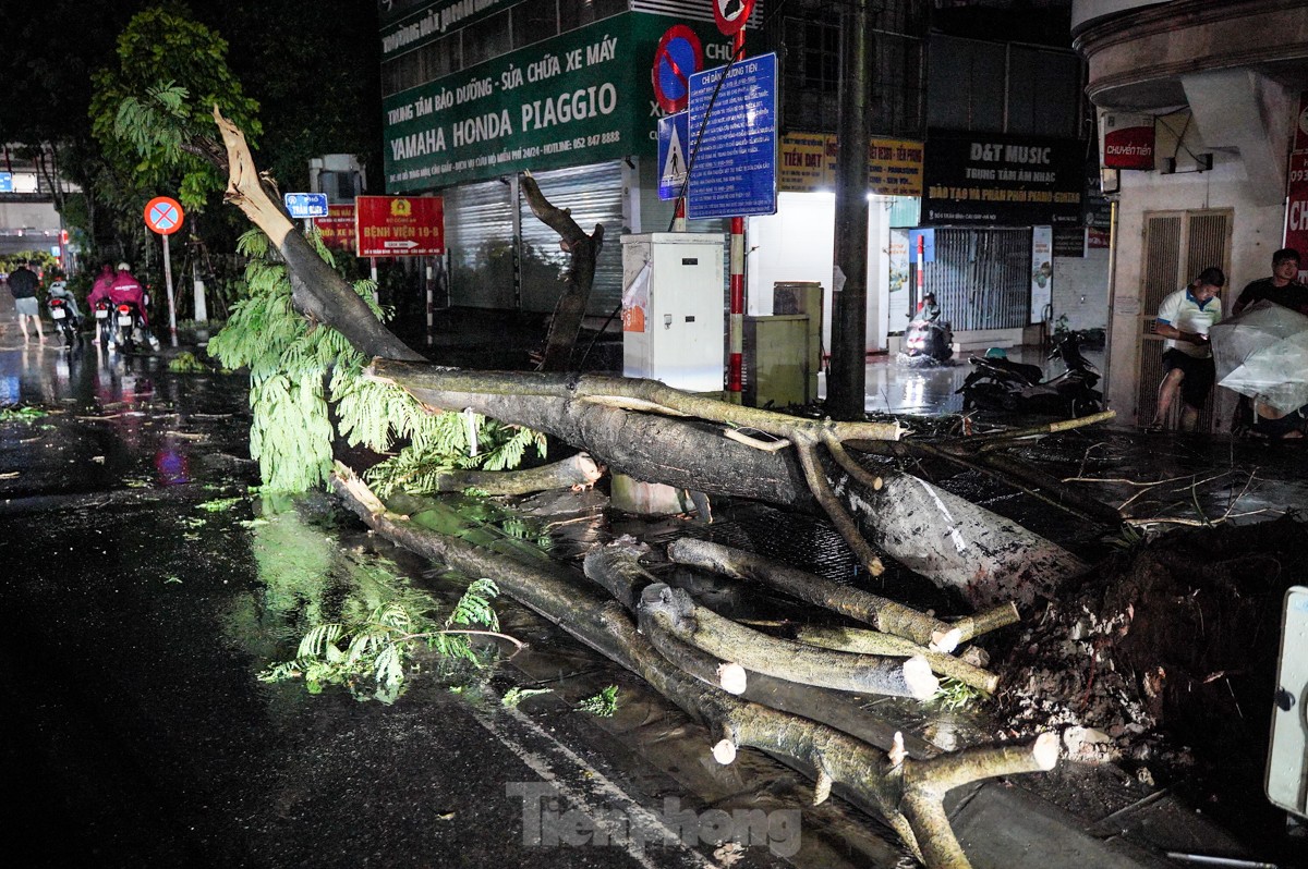 ハノイで大雨​​が降り、一連の木が倒れたり根こそぎにされたりした（写真9）