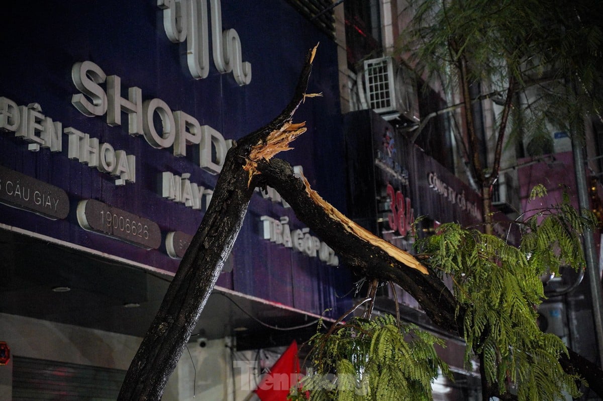 ハノイで大雨​​が降り、一連の木が倒れたり根こそぎにされたりした。写真2