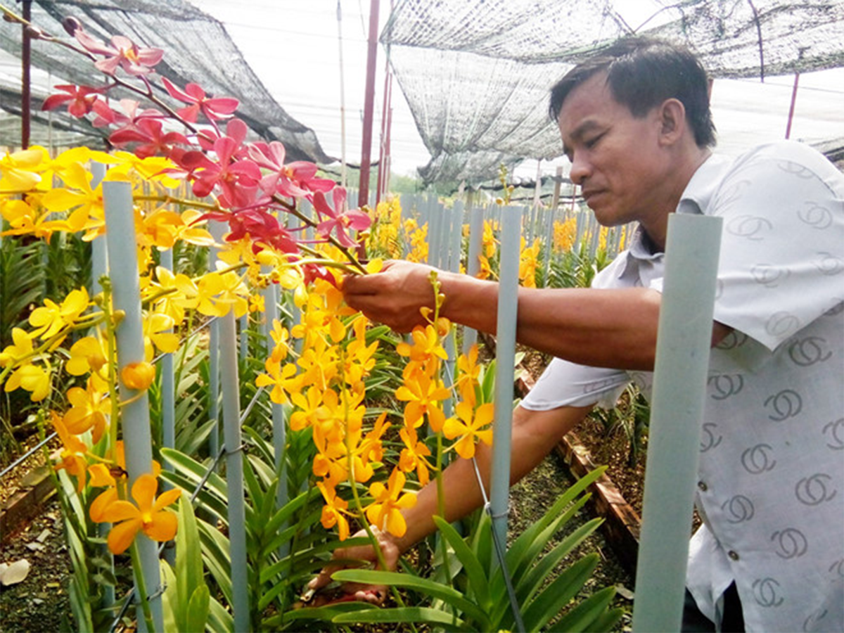 Quản lý đất đai hiệu quả hướng tới phát triển bền vững