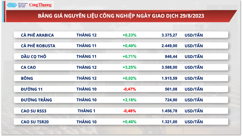 8 tháng đầu năm 2023, xuất khẩu cà phê đạt 1,2 triệu tấn