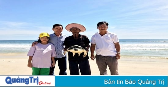 Dos tortugas fueron rescatadas y liberadas sanas y salvas en el mar.