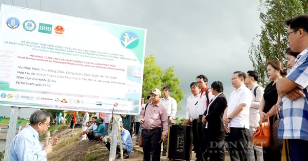 Landwirte genießen es, Mehrzweckmaschinen bei der Reisaussaat auf den Feldern in Kien Giang zuzusehen