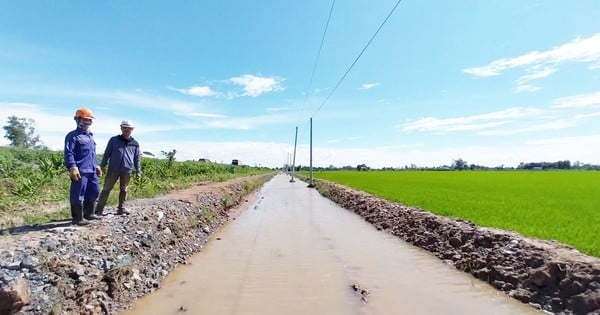 Vì sao tuyến Cao Lãnh