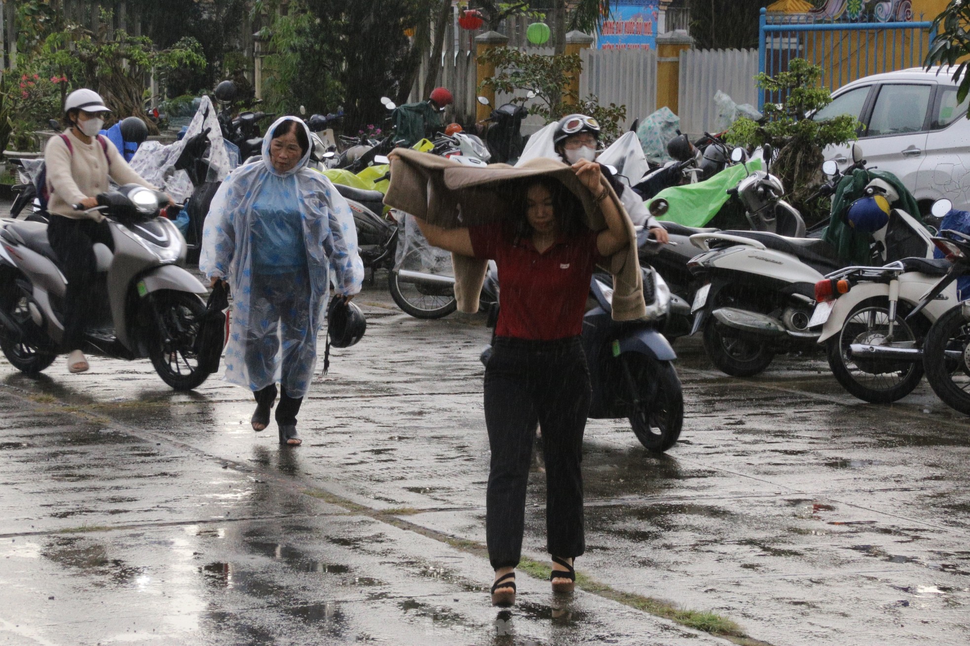 Hoi An ancient town residents brave the rain to donate blood on Red Sunday photo 1