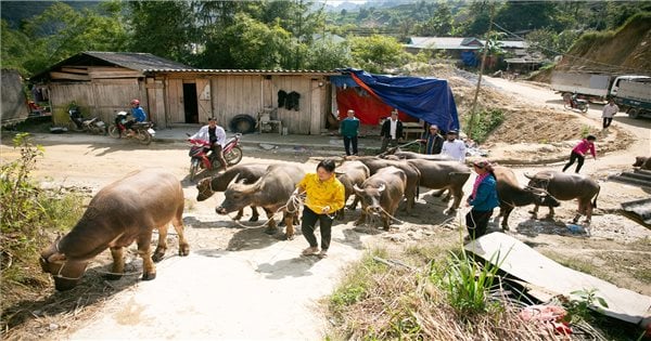 ประสิทธิภาพการดำเนินงานนโยบายด้านชาติพันธุ์ในอำเภอฮวงซูพี (ห่าซาง)