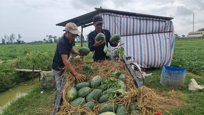 Quảng Bình: Giảm nghèo thành công không chỉ trao 