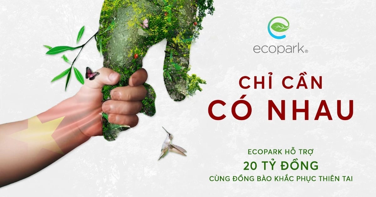 ស្ថាបនិក Ecopark បរិច្ចាគ ២០ពាន់លានដុង ដល់ជនរងគ្រោះដោយទឹកជំនន់