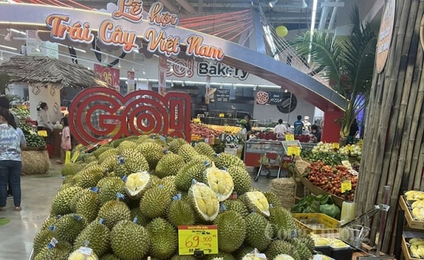 Festival des fruits du Vietnam 2023 : Connecter et rehausser la position des fruits vietnamiens