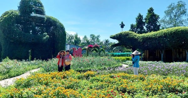 Dueño de un jardín de bonsáis valorado en un millón de dólares sueña con hacer un museo de bonsáis