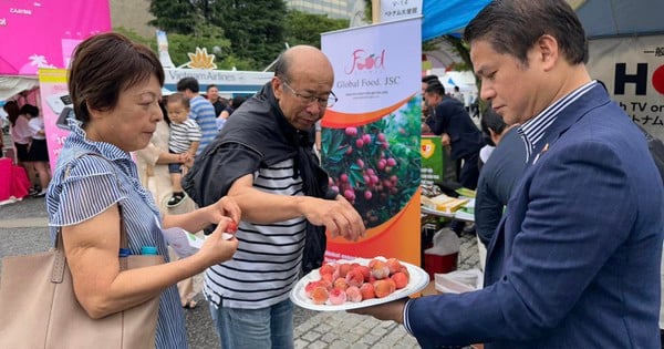 Nach Japan exportierte Litschis werden für 400.000 VND/kg verkauft