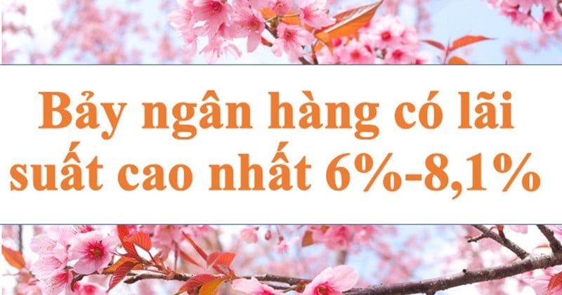 Bảy ngân hàng có lãi suất cao nhất 6%-8,1%