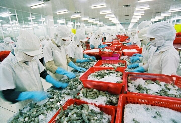 Los alimentos congelados de Vietnam son siempre el producto que más interesa a los importadores extranjeros entre los grupos de exportación. (Foto: MPG)