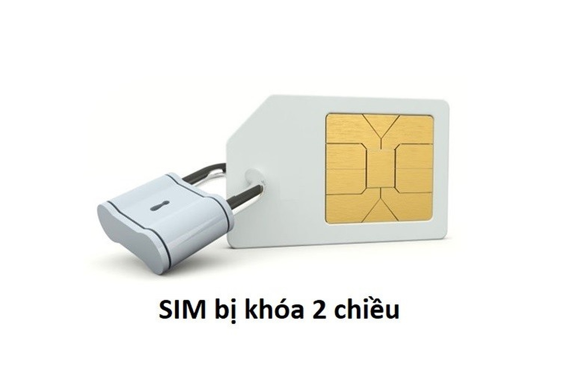 Những điều cần biết để thuê bao di động không bị khóa SIM, thu hồi số - 2
