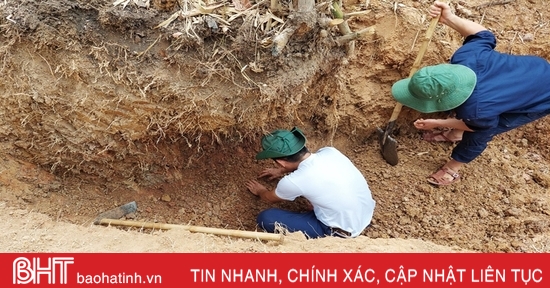 Trọn lời thề “Đưa các anh về đất mẹ thân yêu”