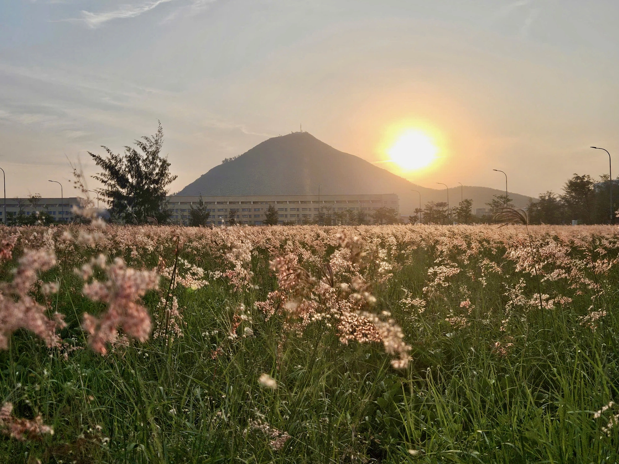 Check-in Phu Yen ថតរូបភ្នំ និងសាលារៀន 'ដូច' របស់ Nobita