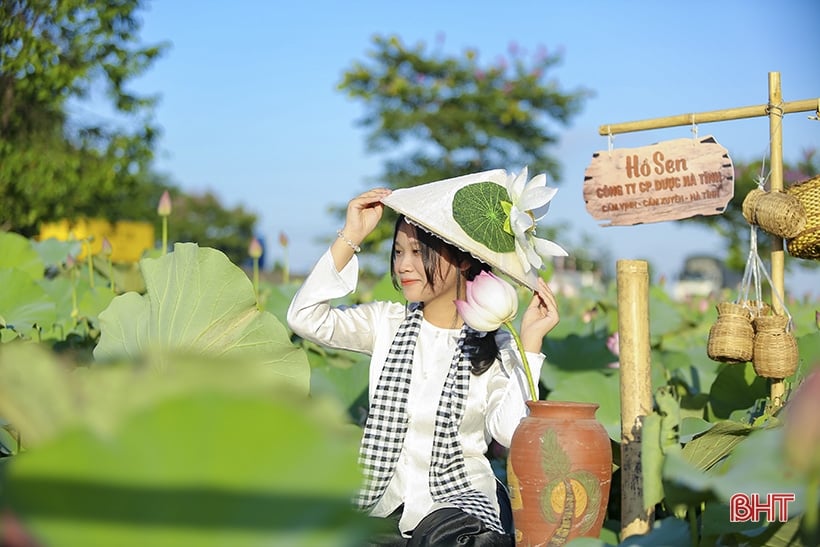 Admire the medicinal lotus pond of Ha Tinh Oriental Medicine Factory