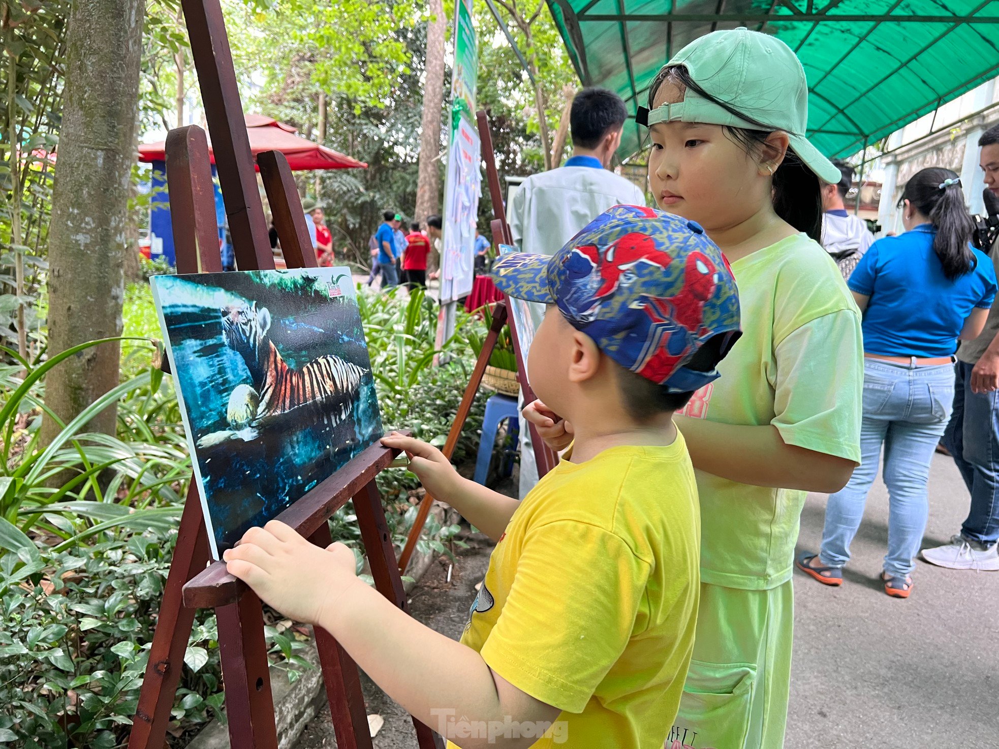 Los turistas disfrutan de la celebración del primer cumpleaños de dos cachorros de tigre llamados Binh y Duong foto 1