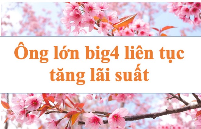 Lãi suất ngân hàng hôm nay 11.9: "Ông lớn" liên tục tăng lãi