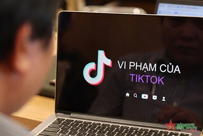 Удалить много плохого и токсичного контента на трансграничных платформах.