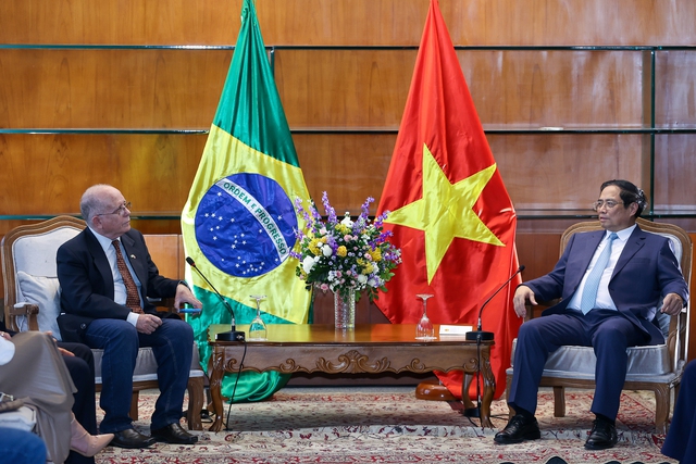 La Asociación de Amistad Brasil-Vietnam necesita realizar más actividades para promover la cooperación entre los dos países. Imagen 1