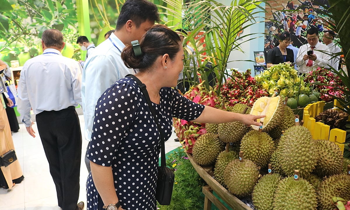 'Thủ phủ trái cây' miền Tây muốn bán thêm đặc sản vào TP HCM