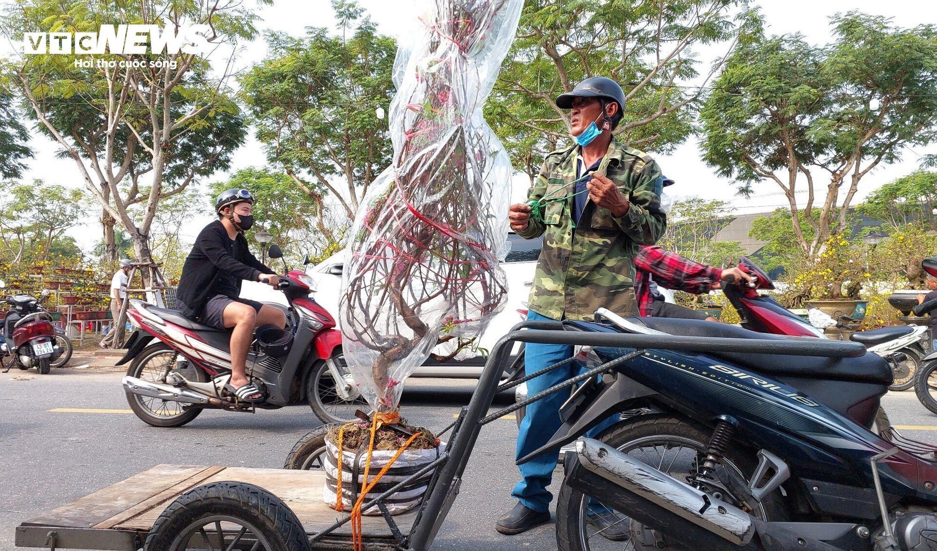 Transportando flores del Tet para ganar millones cada día, los conductores trabajan día y noche - 7