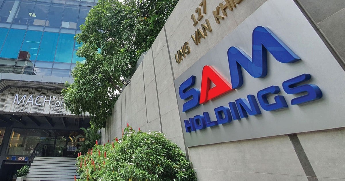 Sam Holdings Sam had to sell nearly 180 billion shares held in the first half of the year picture 1