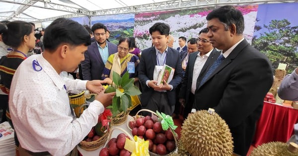 インドはベトナムにとって巨大な市場を提供します。