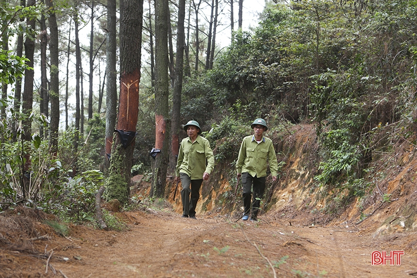 For Hong Linh forest to stay green forever...