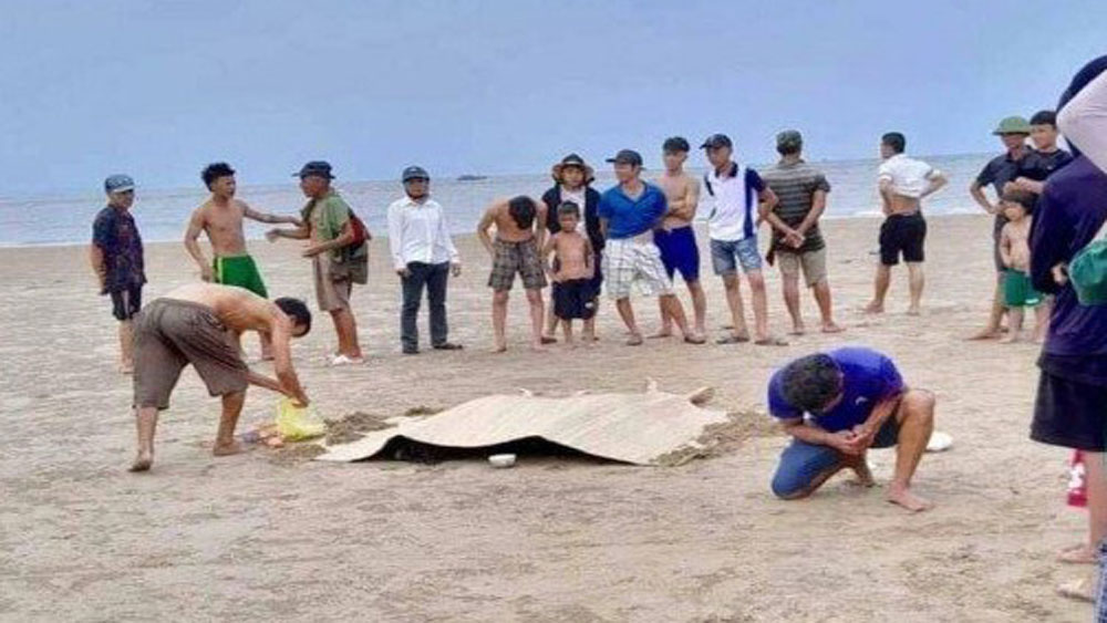 En allant nager à la plage, trois enfants se sont tragiquement noyés |=> Publié dans le journal Bac Giang