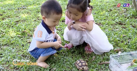 Welche Spielplätze bauen Eltern im Sommer für ihre Kinder?