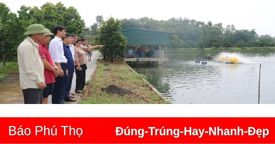 Ứng dụng công nghệ sinh học trong quản lý môi trường ao nuôi