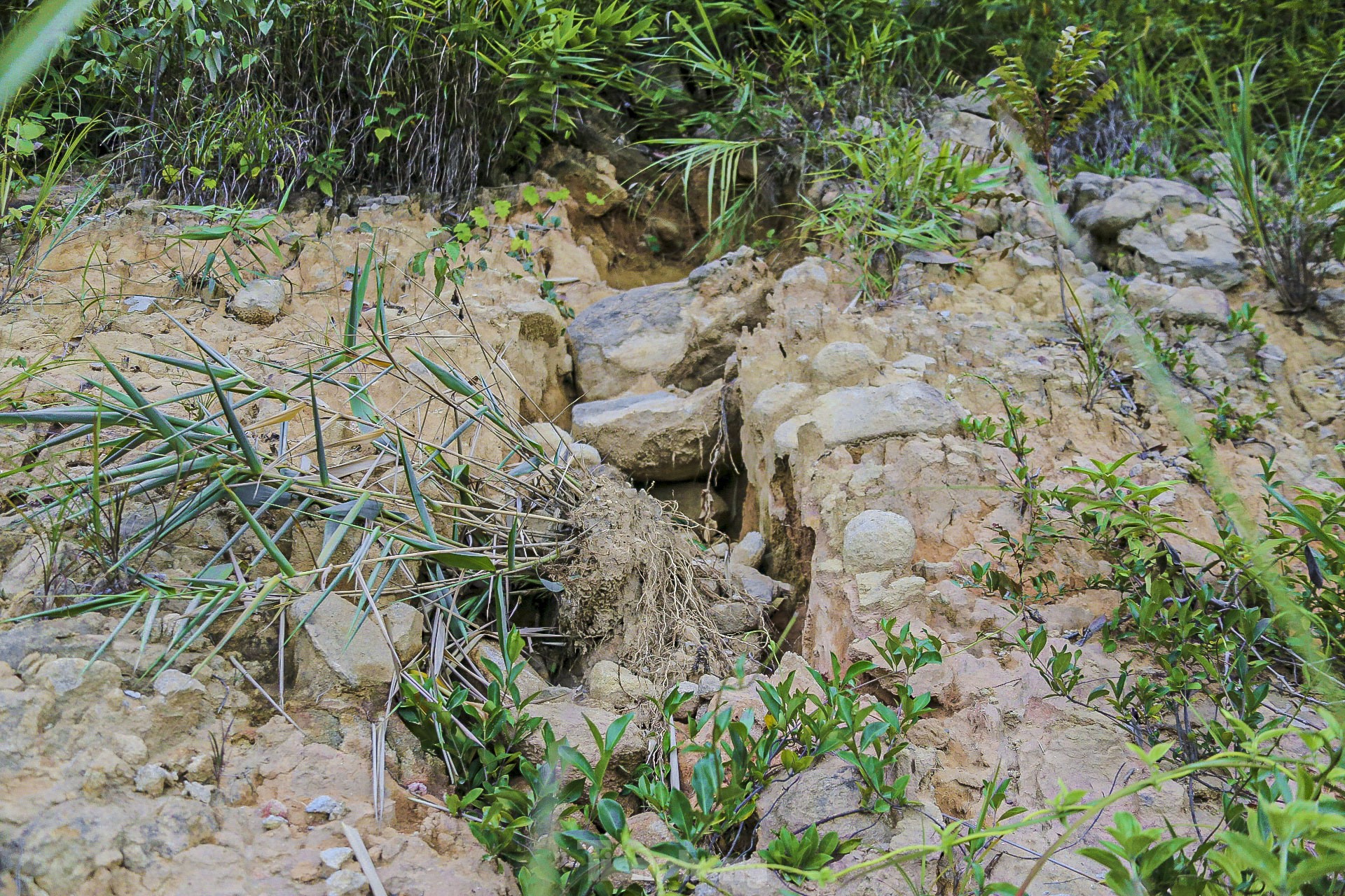 ハイヴァン峠の多くの地点で土砂崩れの危険性が高い 写真13