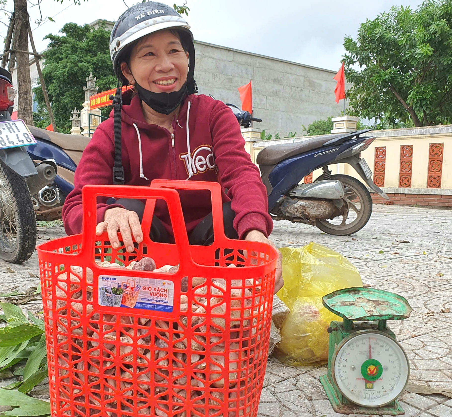 Người dân Quảng Bình rủ nhau đi hái loài nấm béo núc ních, ăn càng đắng càng ngon- Ảnh 2.