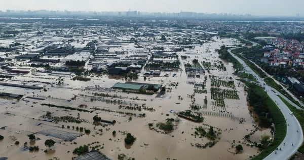 El agua del río Rojo retrocede gradualmente y muchas zonas bajas de Ha Nam, Nam Dinh y Thai Binh quedan gravemente inundadas, lo que causa enormes daños a la agricultura.