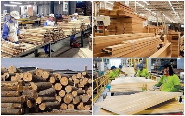 Exportaciones de madera y productos de madera crecen espectacularmente con ganancias de 9.500 millones de dólares