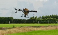 Environ 76 000 clients de Long An ont perdu de l'électricité à cause d'un avion épandeur de pesticides.