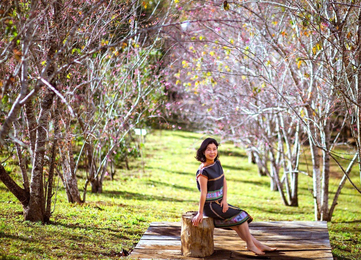 Admiring cherry blossoms 'dying' the whole town of Mang Den in pink photo 6