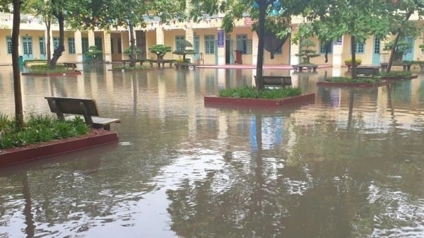 Más de 100 escuelas en Hanoi permiten que los estudiantes se queden en casa, muchas escuelas cambian a la enseñanza en línea