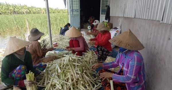 ពិនិត្យ​មើល​ស្ថានភាព​ស្ត្រី​អត់​ការងារ​ធ្វើ​ត្រឡប់​ទៅ​ស្រុក​កំណើត