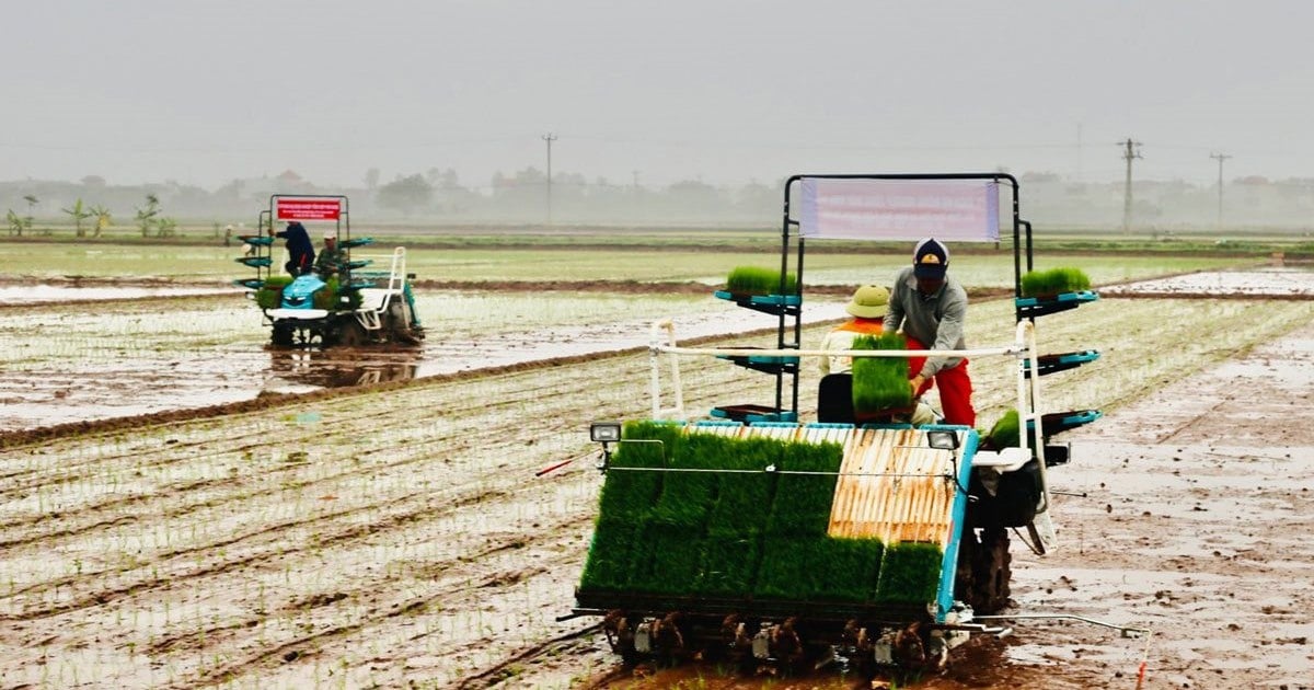 El Fondo de Promoción Agrícola de Hanoi duplica sus beneficios