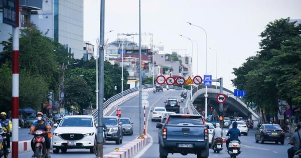 Propuesta para construir 5 nuevos pasos elevados de luz