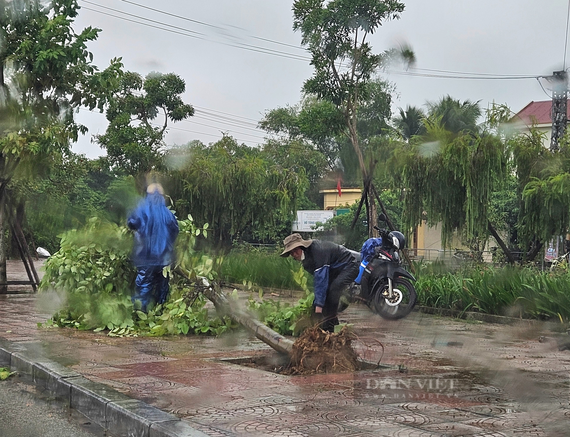 Bão số 4 chưa vào nhưng gió mạnh dần, cây bật gốc, đường biên giới ngập sâu- Ảnh 2.