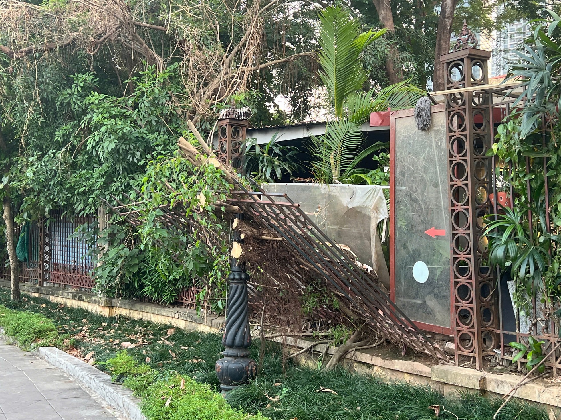 Dilapidated and degraded scenes at two large parks in Hanoi photo 17