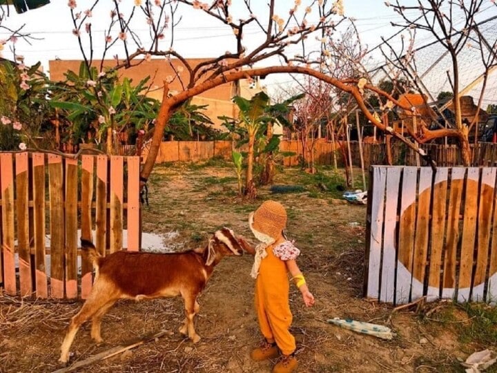 ダナンで最も人気のある子供の遊び場の住所を「ポケット」に - 3